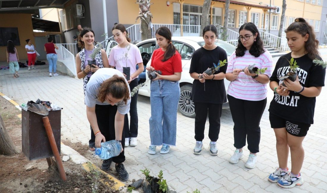 Hatay Büyükşehir Belediyesi (HBB),