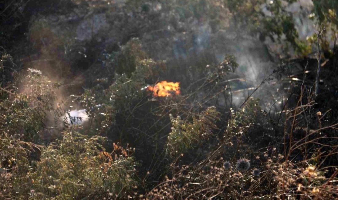 Hatay’ın Antakya ilçesinde, Narlıca