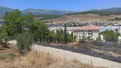 Kırıkhan’daki Mustafa Kemal Üniversitesi Meslek Yüksekokulu (MKÜ-MYO) önündeki bahçede çıkan