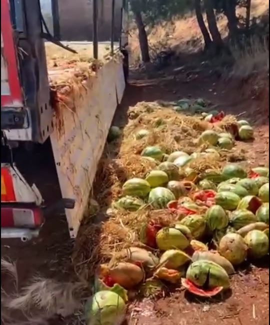 Hatay’ın Belen ilçesinde, çürük