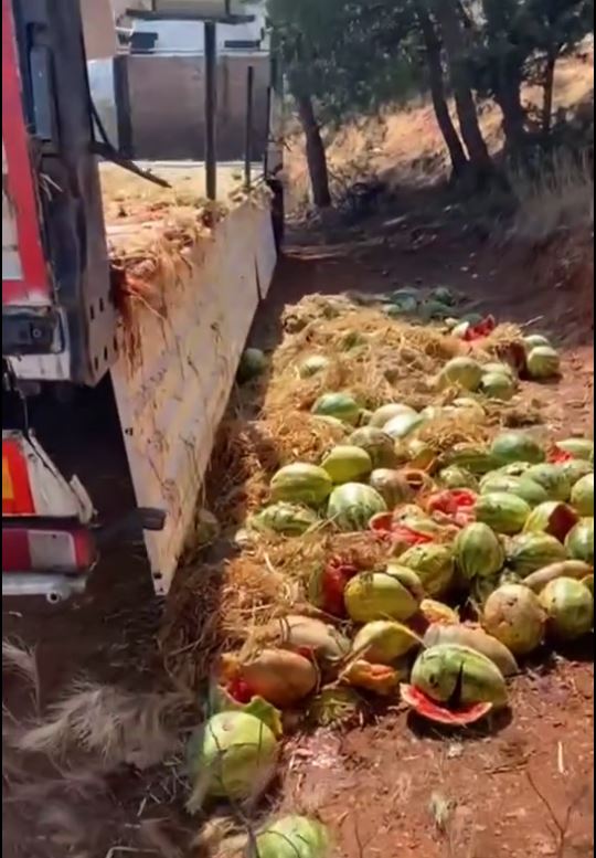 Karpuzları yola atan şahısa ceza