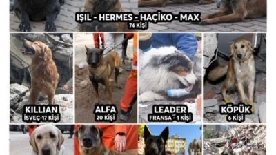 Engelli Hayvanları Koruma ve Hayvan Hakları Derneği kurucusu Çağrı Sert,