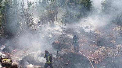 Hatay’ın Antakya ilçesinde meydana gelen bahçe yangını, itfaiye ekiplerinin hızlı