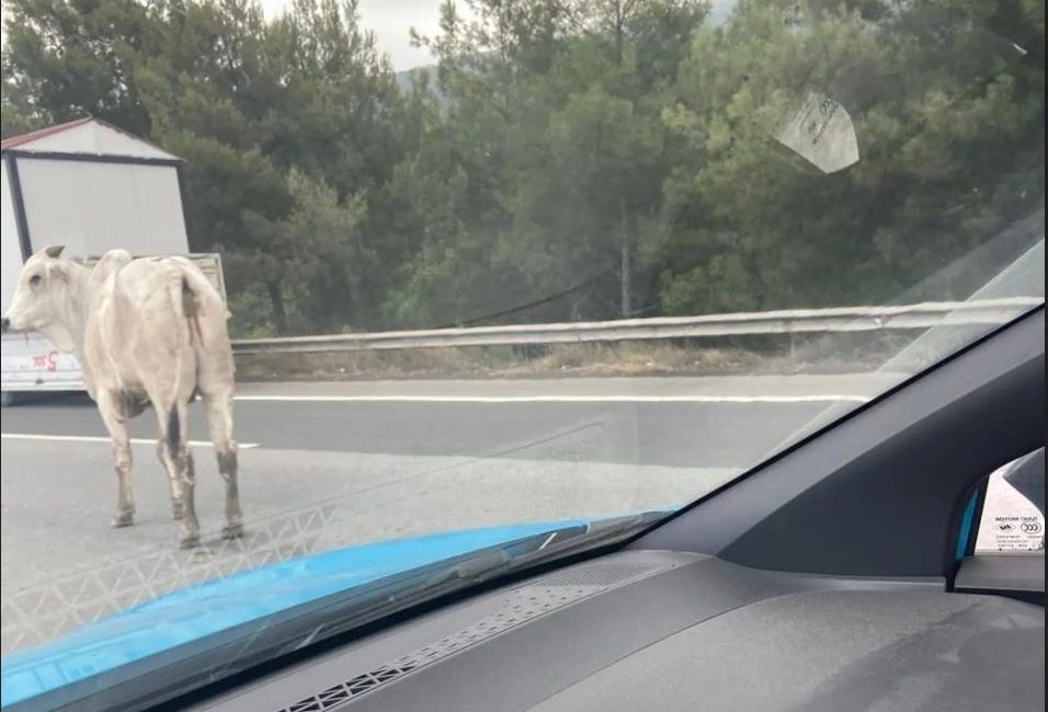 Hatay’da tırın dorsesinden kaçan