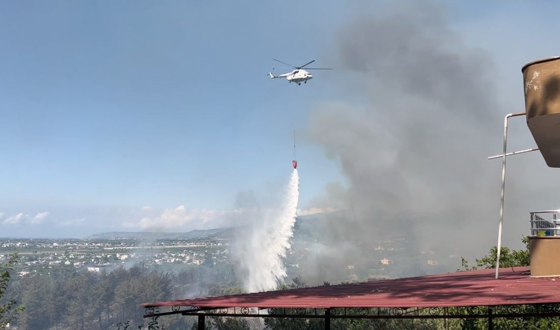   Hatay’ın Arsuz ilçesinde