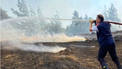   Hatay’ın Belen ilçesi Şenbük Mahallesi’nde çıkan orman yangını, Hatay