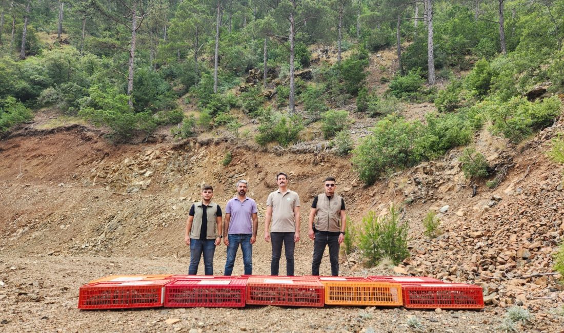 Hatay’ın Arsuz ilçesinde Doğa