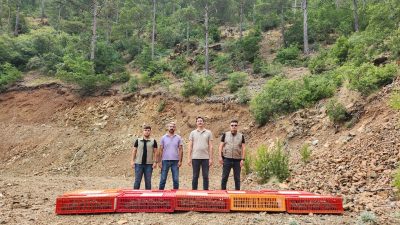 Hatay’ın Arsuz ilçesinde Doğa Koruma ve Milli Parklar Şube Müdürlüğünce