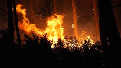 Orman yangınlarında olay yerine ulaşıp ilk müdahaleyi gerçekleştiren kara ekipleri,