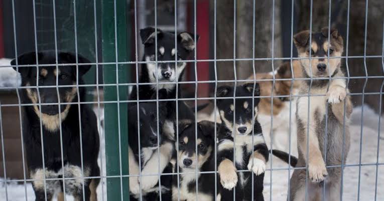 Halk Tv’de Kayda Geçsin adlı programa katılan gazeteci Barış Pehlivan