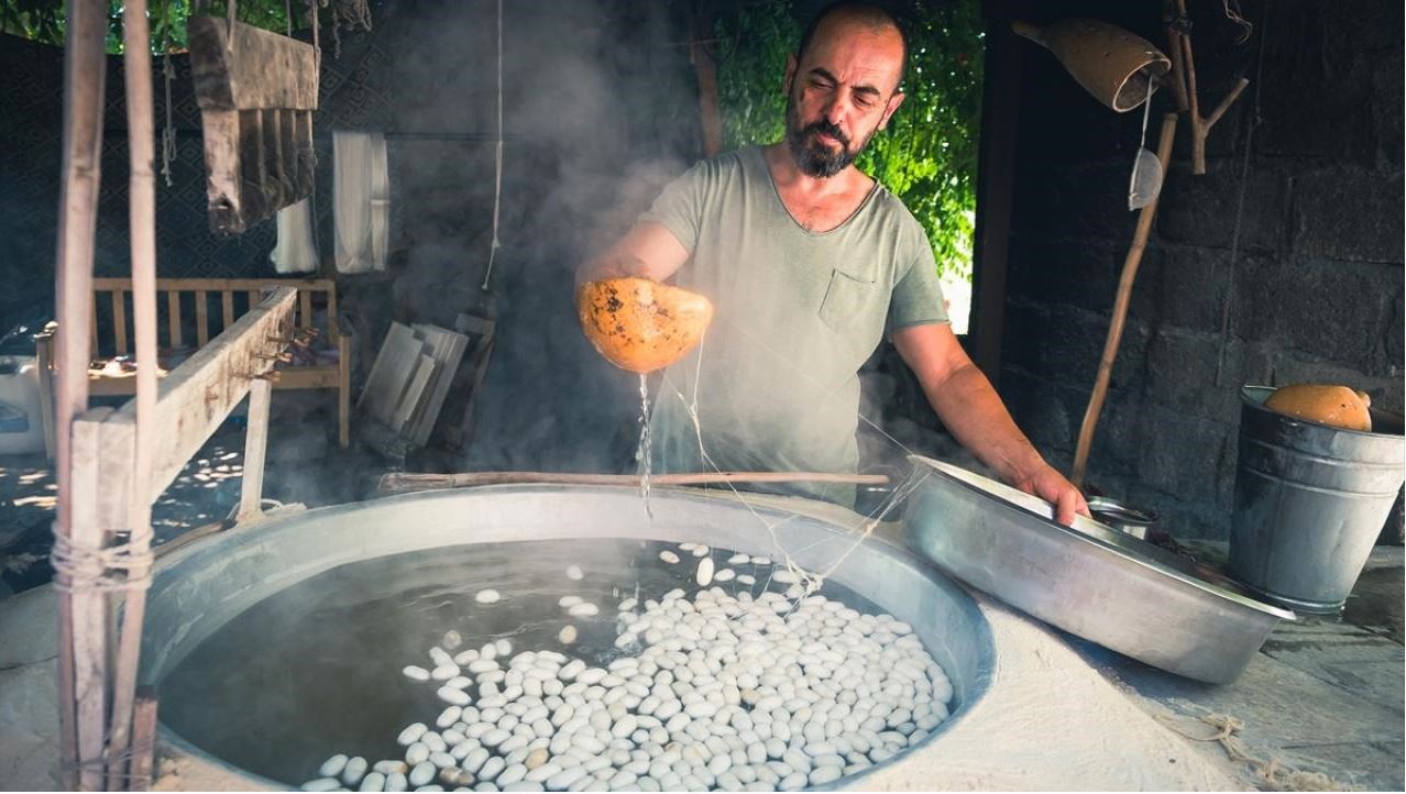 Hatay’da Geleneksel İpek Böcekçiliği bitmiyor