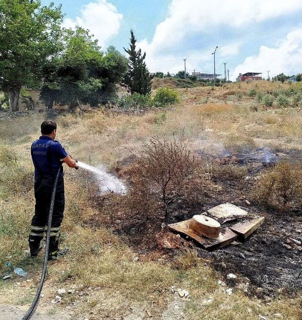 Hatay’ın Erzin İlçesi İsalı