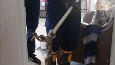 Hatay’da iki farklı olayda evlere giren yılanlar itfaiye ekipleri tarafından