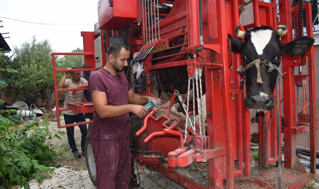 Hatay Büyükşehir Belediyesi (HBB),