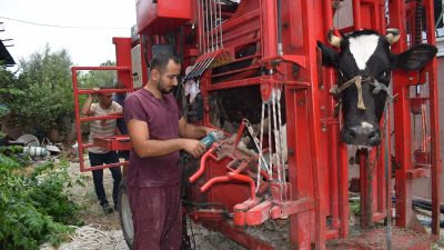 Hatay Büyükşehir Belediyesi (HBB), kırsalda tarım ve hayvancılıkla uğraşan vatandaşlara