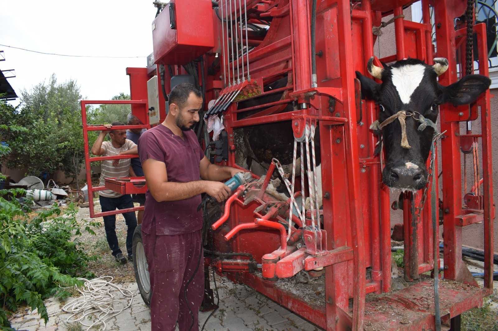 HBB’den kırsalda hayvan sağlığına destek