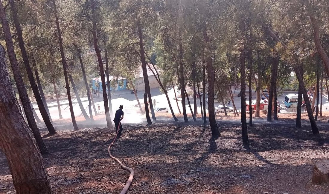 Kırıkhan’ın oksijen kaynağı mesire