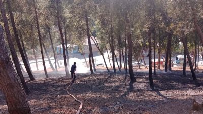 Kırıkhan’ın oksijen kaynağı mesire alanında çam ağaçları yandı… Kırıkhan ilçesi