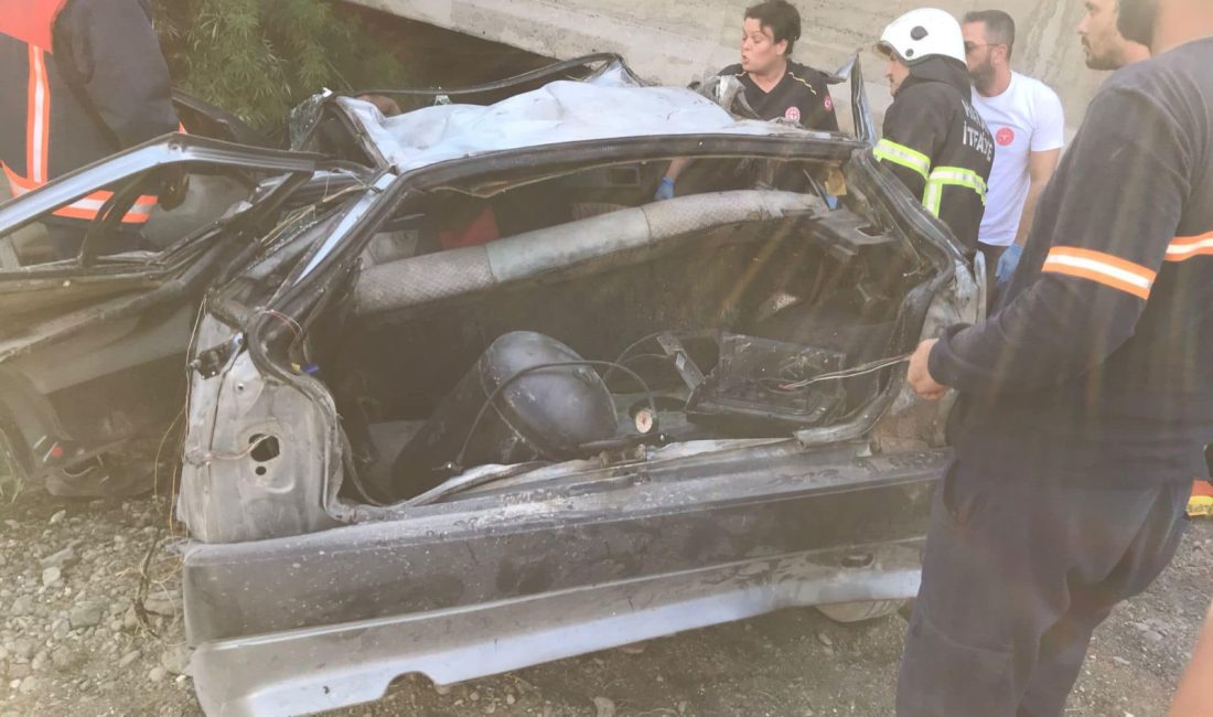 Hatay’ın Erzin ilçesinde, otomobilin