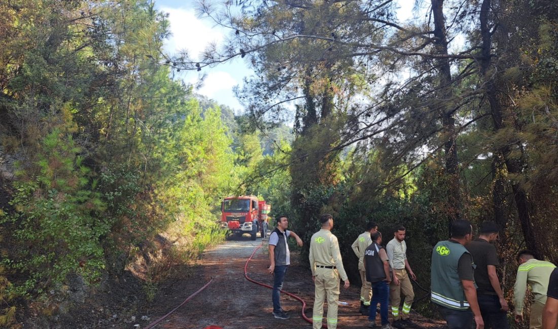 Hatay’ın Dörtyol ilçesine bağlı