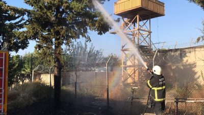 Otlar yandı, ağaçlar tutuştu, alevler ve dumanlar yükseldi