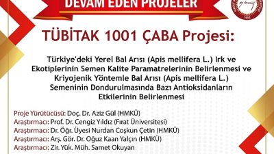Hatay Mustafa Kemal Üniversitesi, TÜBİTAK 1001 ÇABA programı kapsamında bir