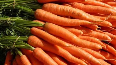 Hitit Üniversitesi’nde yürütülen bir proje kapsamında, havuç kabuğundan elde edilen