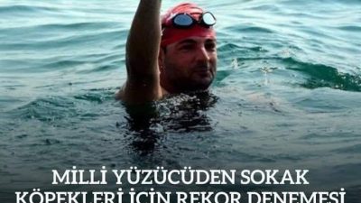 Milli yüzücü Alper Sunaçoğlu, TBMM’den çıkarılan sokak hayvanları yasasına tepki