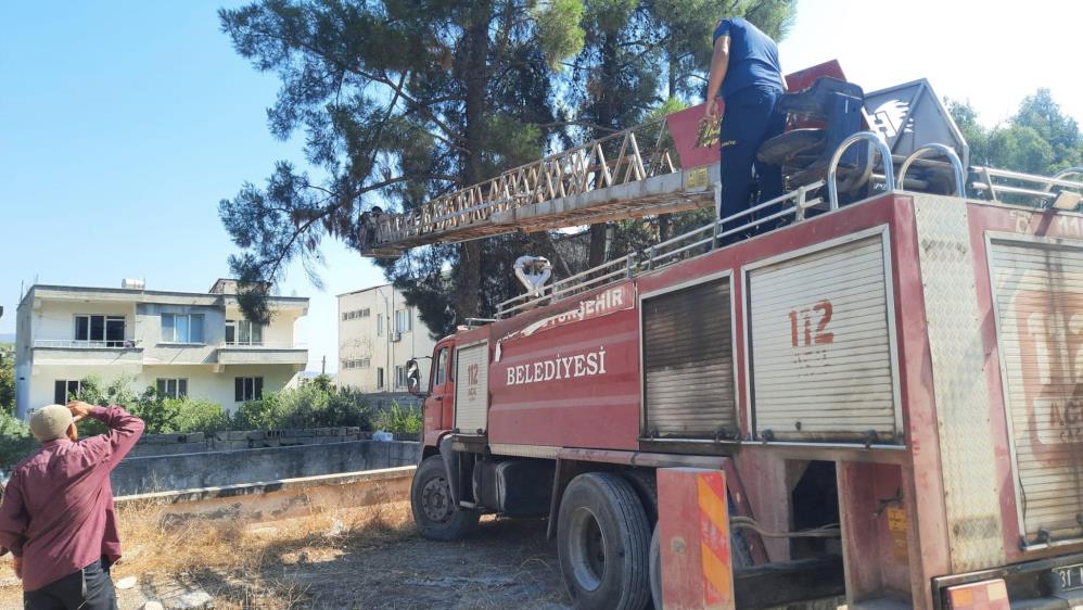 Hatay’ın Hassa ilçesinde bir