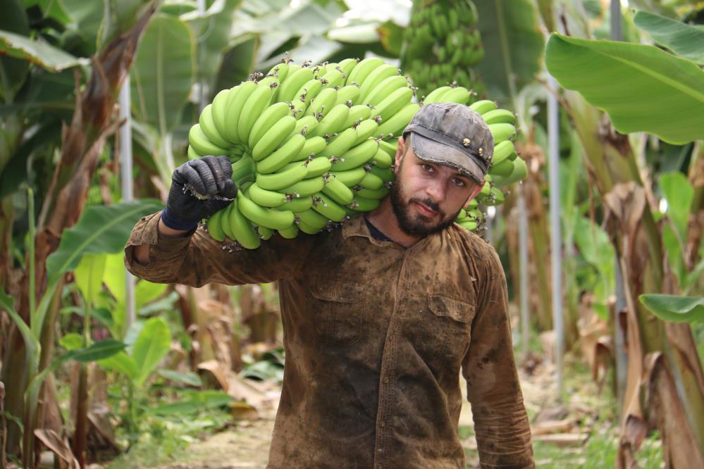 Çiftçiler Market fiyatlarına tepkili