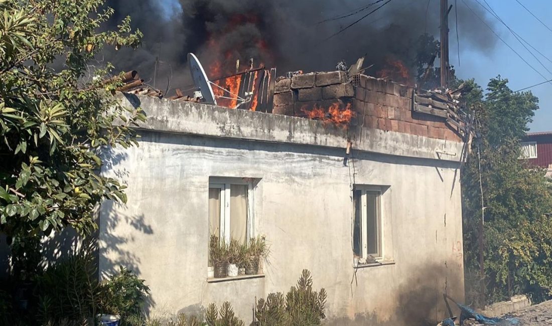 Antakya ilçesi Serinyol Mahallesi