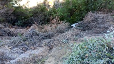 Hatay’ın Samandağ ilçesinde meydana gelen trafik kazasında, otomobil uçuruma yuvarlandı