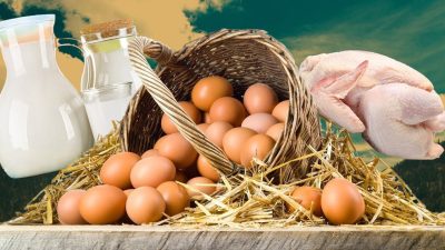 Türkiye İstatistik Kurumu’nun (TÜİK) verilerine göre, haziran ayında içme sütü