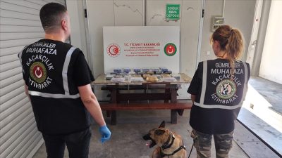 Ticaret Bakanlığı Gümrük Muhafaza ekipleri, Taşucu ve Çeşme limanlarında gerçekleştirdiği