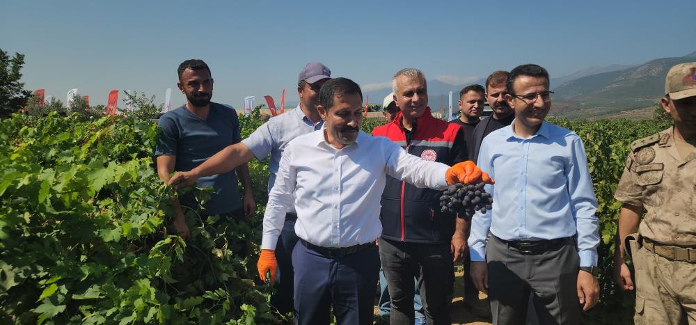 Hatay’ın Hassa ilçesinde, yaklaşık