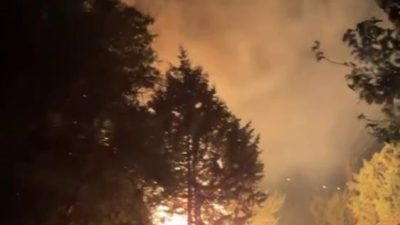 Altınözü ilçesi Yolağzı Mahallesi’nde gece saatlerinde başlayan yangın, hızla ağaçlık