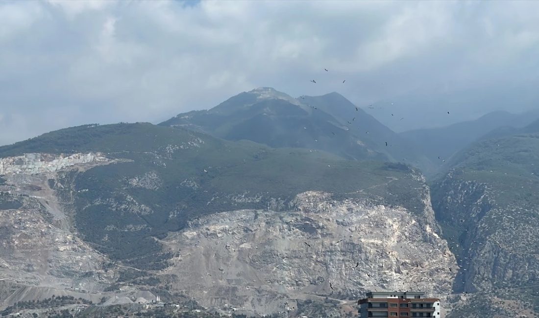 Hatay’ın İskenderun ilçesinde sonbaharın