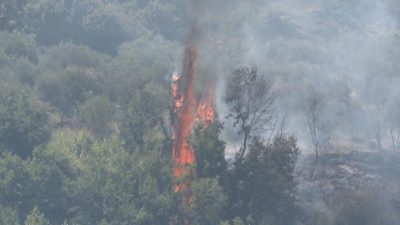 Hatay’ın Altınözü ilçesine bağlı Akamber Mahallesi’nde çıkan zeytinlik yangını, itfaiye