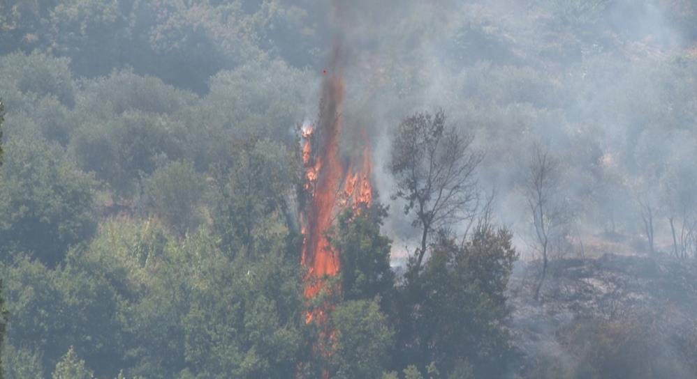 Hatay’ın Altınözü ilçesine bağlı