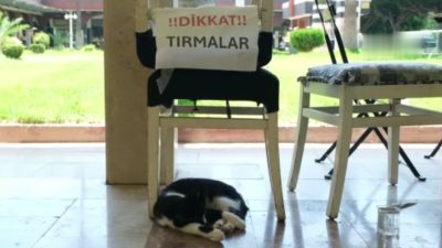 Adana’nın Seyhan ilçesi Reşatbey Mahallesi’ndeki Kuyumcular Çarşısı’nda yaşayan 10 yaşındaki