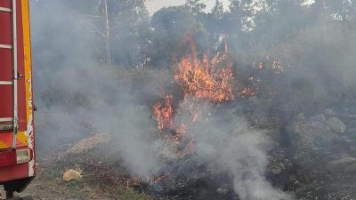 Hatay’ın Dörtyol ilçesine bağlı Özerli Mahallesi’nde meydana gelen ot yangını,