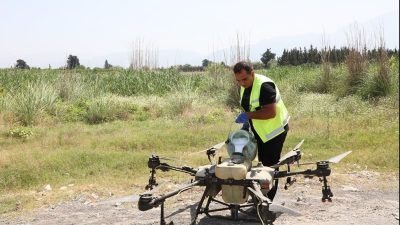 Hatay Büyükşehir Belediyesi (HBB), 15 ilçede haşere ve zararlılarla mücadele