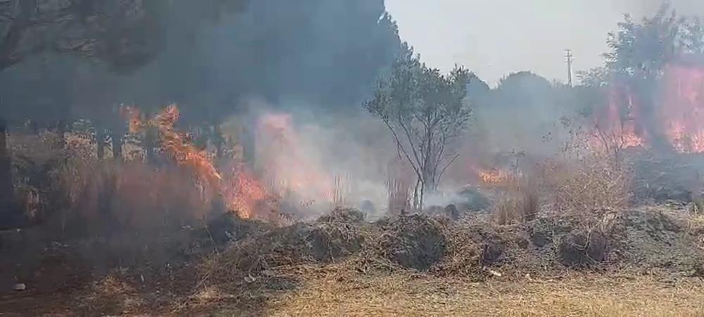 Hatay’ın Erzin ilçesine bağlı