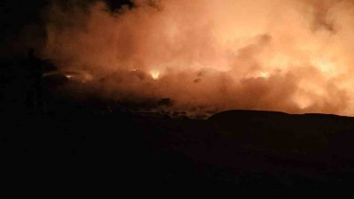 Hatay’ın Antakya ilçesinde meydana gelen yangın, ormanlık alan sıçramadan itfaiye