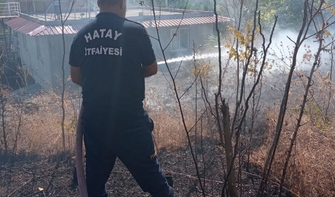 Hatay’ın Defne ilçesinde çıkan