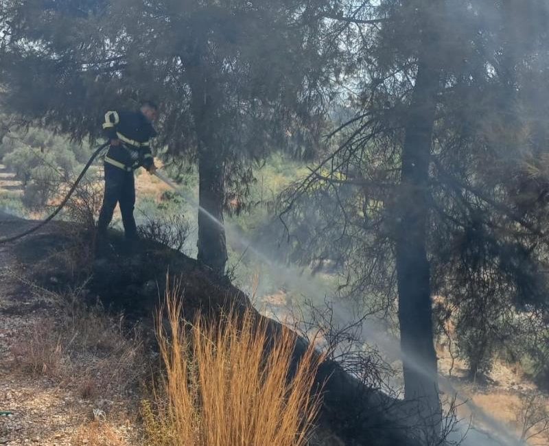 Hatay’ın Antakya ilçesine bağlı