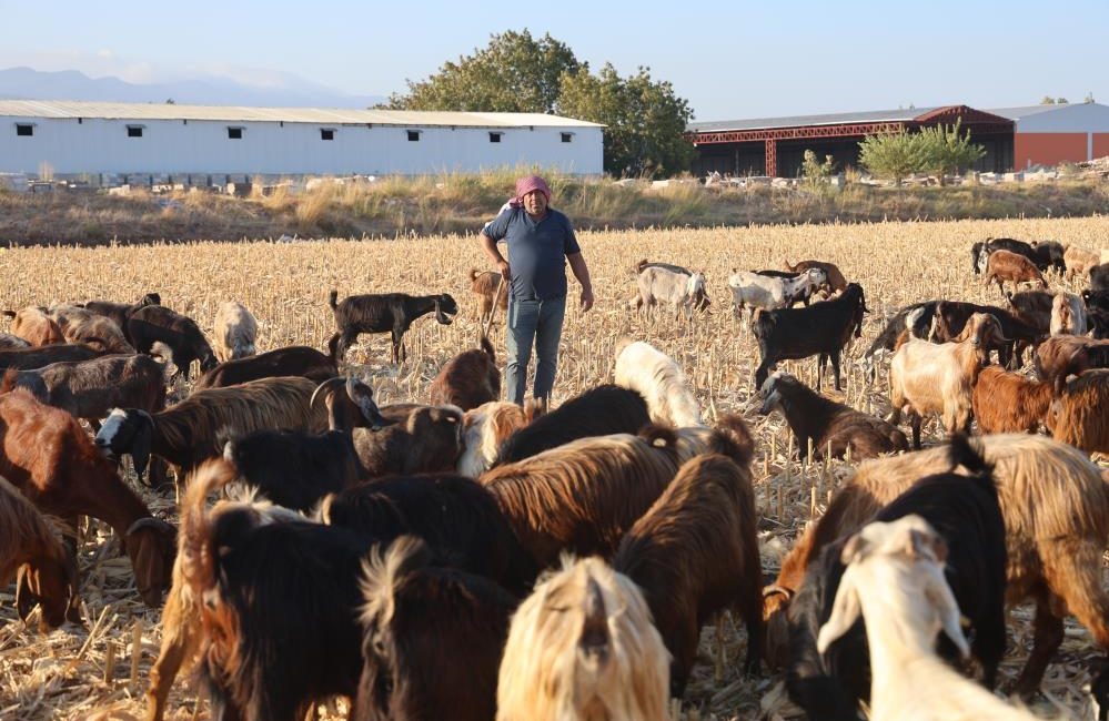 Hatay’da kavurucu sıcakta zorlu