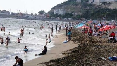 Hatay İl Sağlık Müdürlüğü, 160 km uzunluğundaki deniz sahillerinden 20