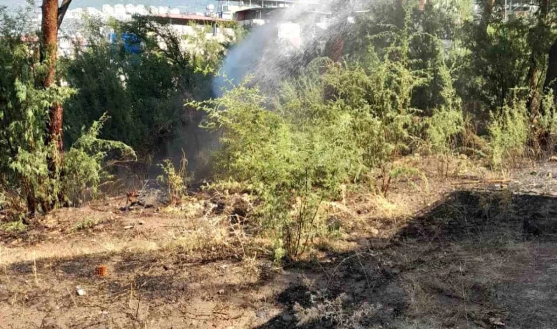 Hatay’ın İskenderun ilçesinde, Çankaya