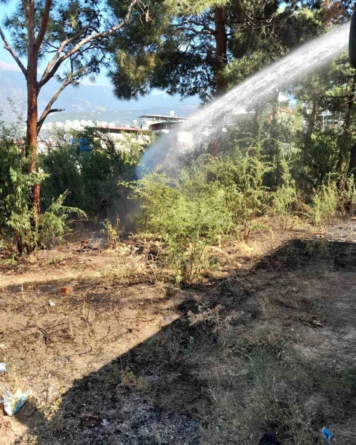 Yangın, bahçede hasara yol açtı